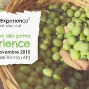 olive experience