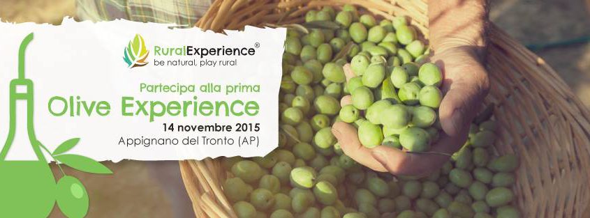 olive experience